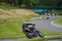 cadwell-no-limits-trackday;cadwell-park;cadwell-park-photographs;cadwell-trackday-photographs;enduro-digital-images;event-digital-images;eventdigitalimages;no-limits-trackdays;peter-wileman-photography;racing-digital-images;trackday-digital-images;trackday-photos